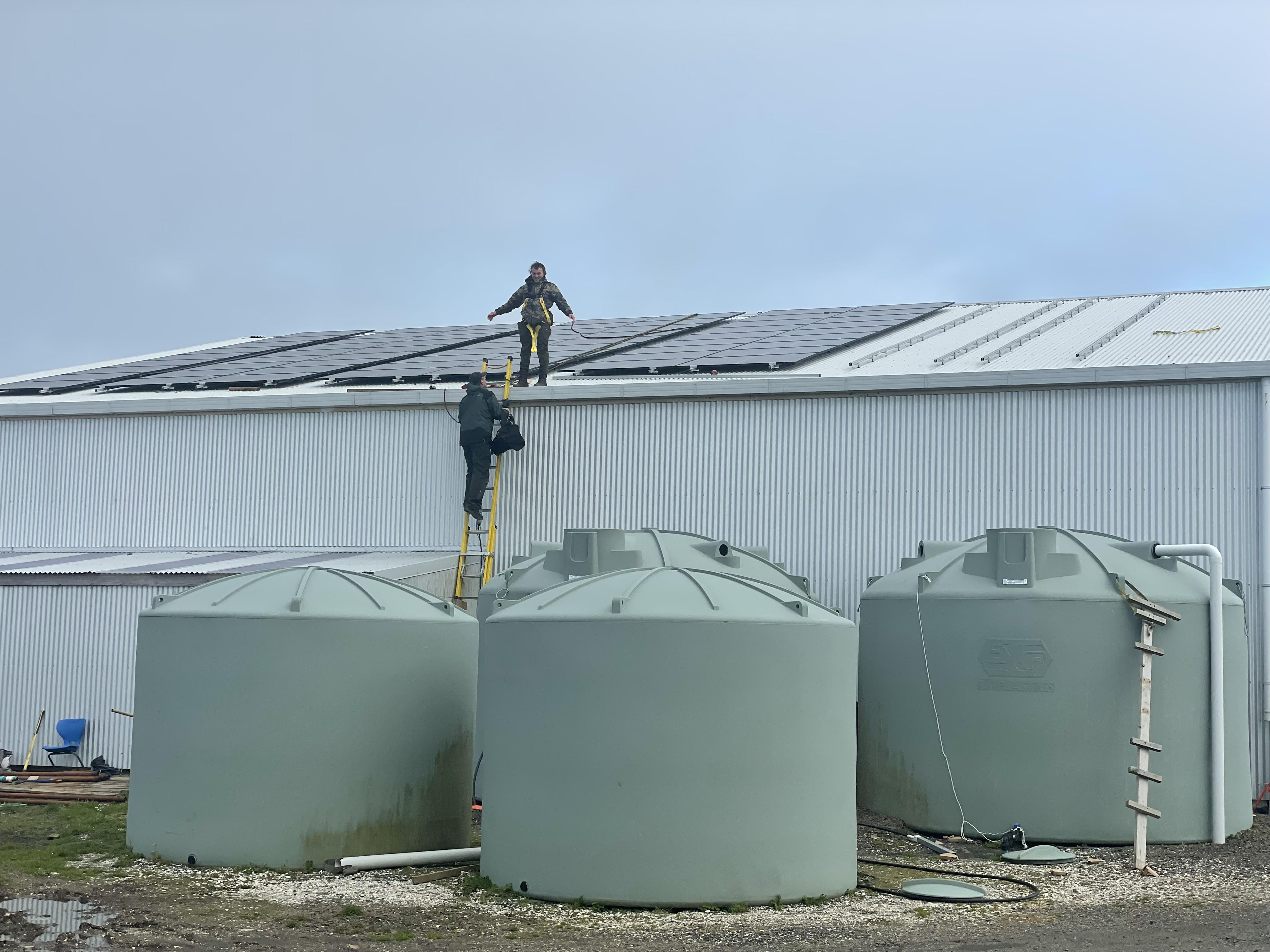 Chathams 3